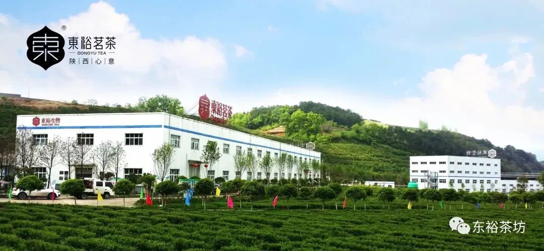 紫阳富硒茶品牌价值(紫阳富硒茶品种和单价)-硒宝网