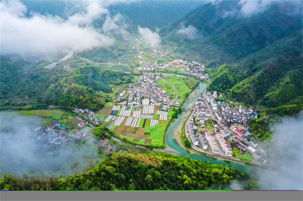 仙寓山富硒茶种植地(仙寓山硒茶多少钱一斤)-硒宝网