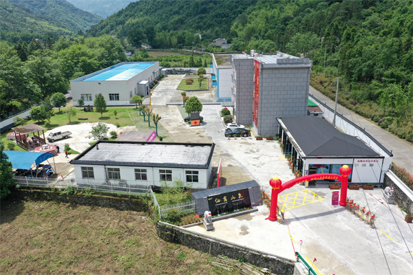 仙寓山富硒茶种植地(仙寓山硒茶多少钱一斤)-硒宝网