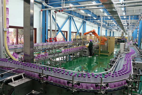 仙寓山富硒茶种植地(仙寓山硒茶多少钱一斤)-硒宝网