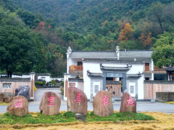仙寓山富硒茶种植地(仙寓山硒茶多少钱一斤)-硒宝网