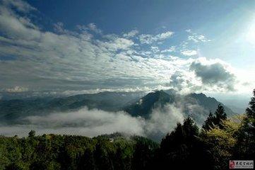 富硒藤茶效果怎么样(富硒藤茶什么牌子的好)-硒宝网