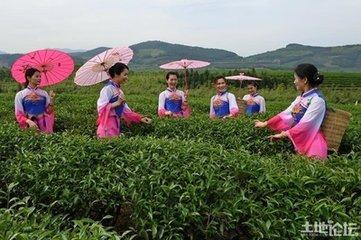 富硒藤茶效果怎么样(富硒藤茶什么牌子的好)-硒宝网
