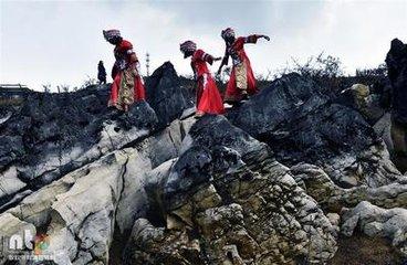 富硒藤茶效果怎么样(富硒藤茶什么牌子的好)-硒宝网