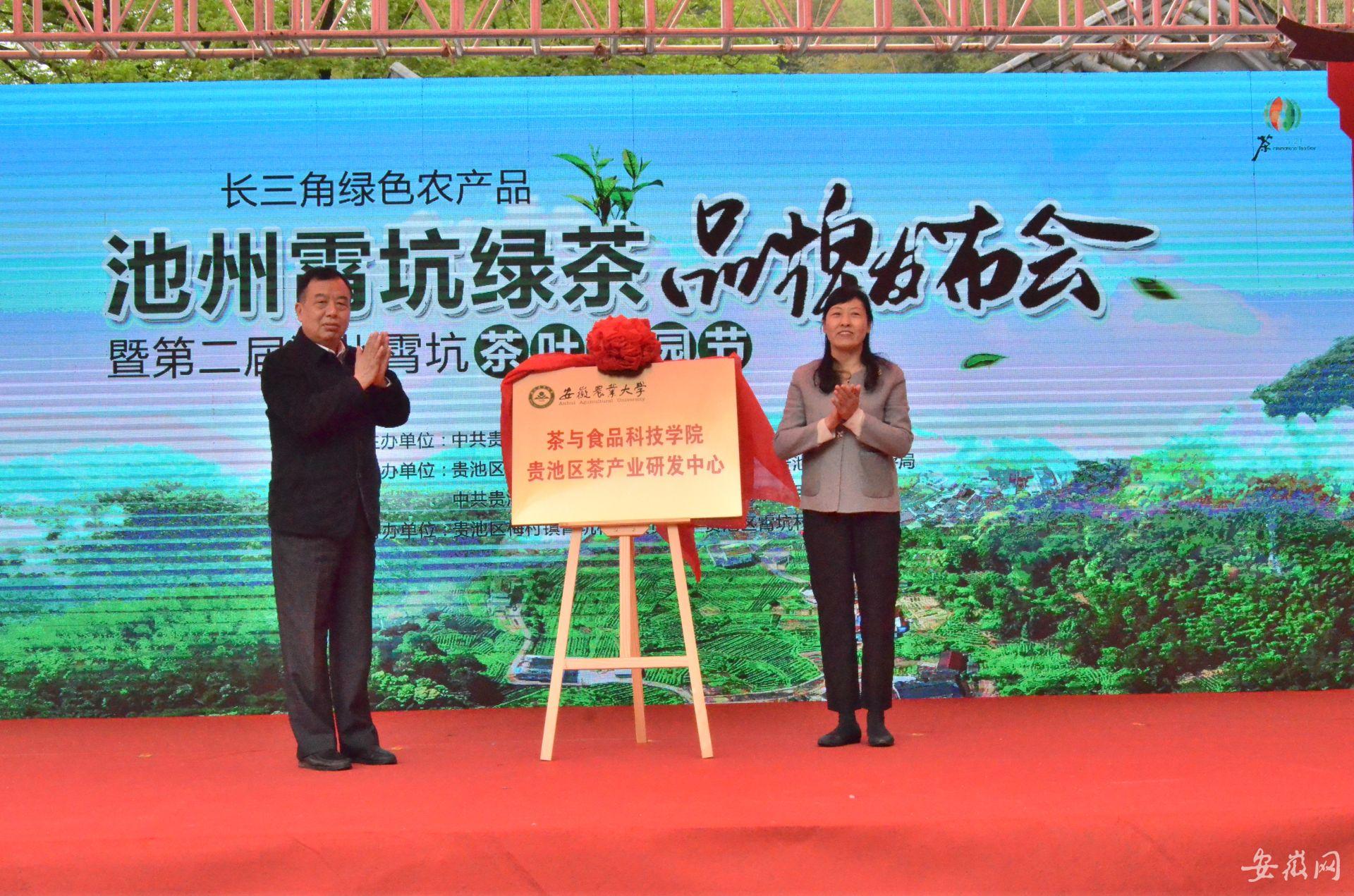 霄坑富硒茶是哪里的(霄坑茶叶功效)-硒宝网