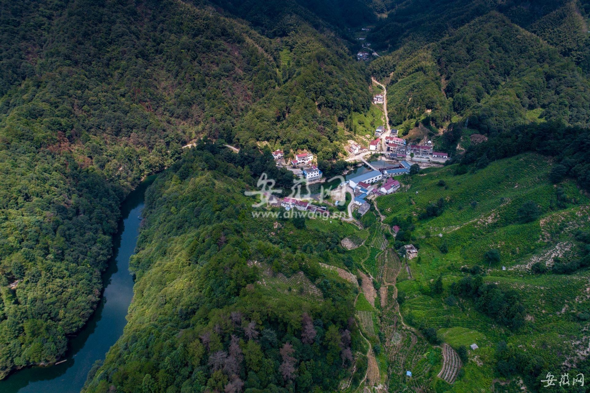 霄坑富硒茶是哪里的(霄坑茶叶功效)-硒宝网