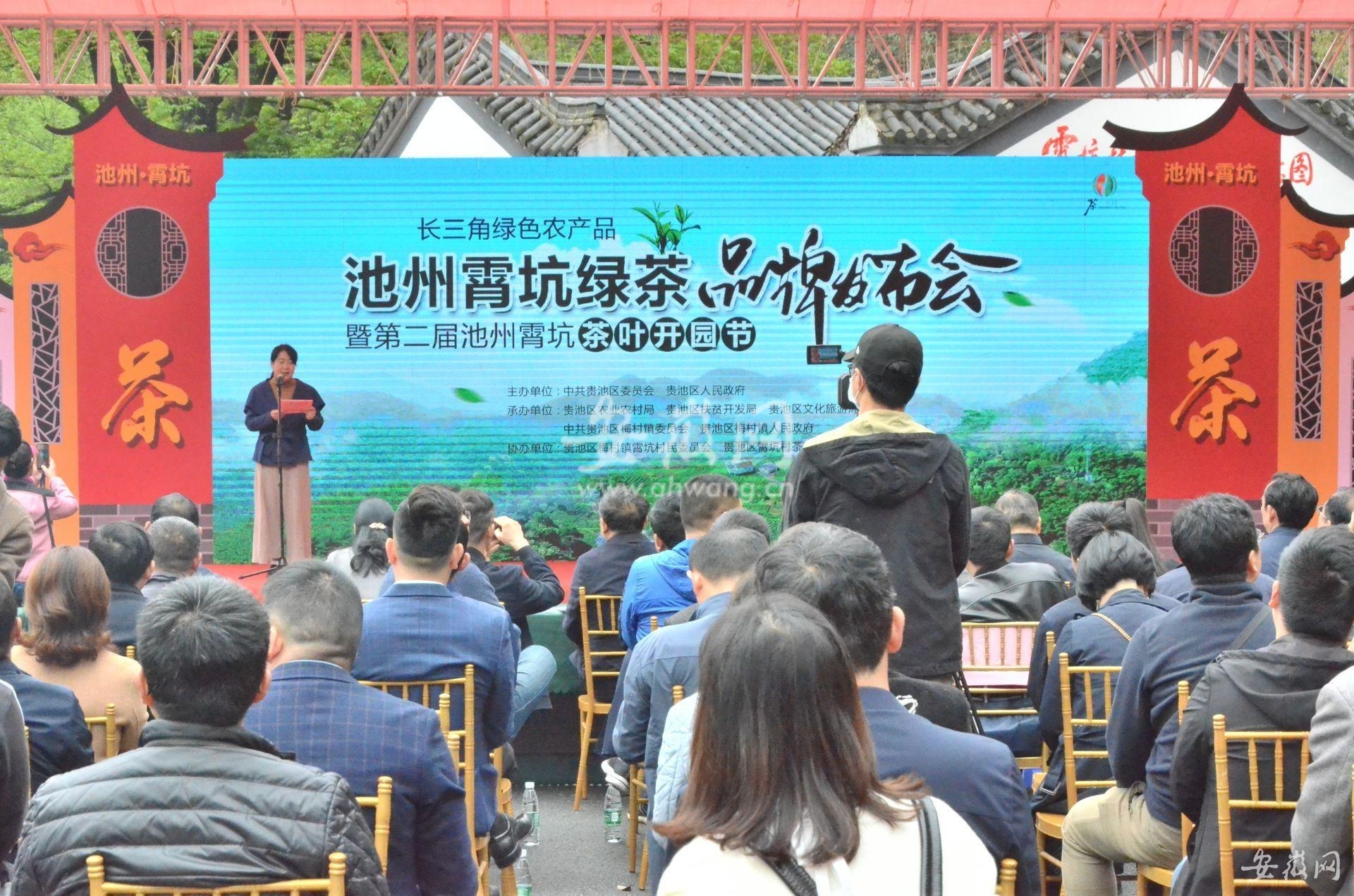 霄坑富硒茶是哪里的(霄坑茶叶功效)-硒宝网