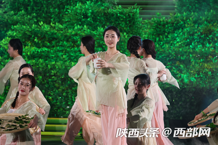 十大紫阳富硒茶品牌(紫阳富硒茶品牌排行)-硒宝网