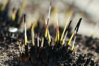 胃癌病人能喝富硒茶(病人能喝茶胃癌富硒水吗)-硒宝网