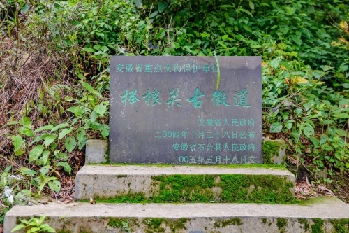 石台县仙寓山富硒茶（石台县仙寓山富硒野茶）-硒宝网