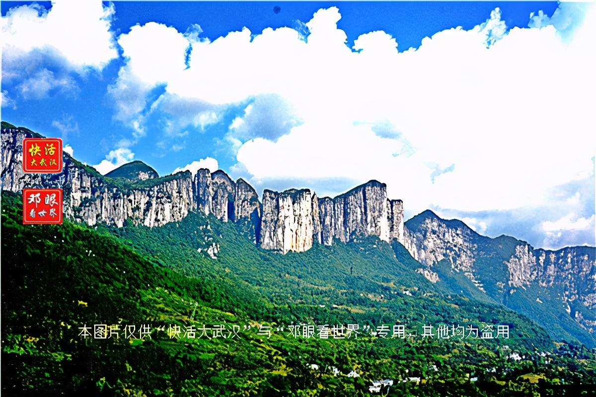 大峡谷富硒茶怎么样（大峡谷生态茶业有限公司）-硒宝网