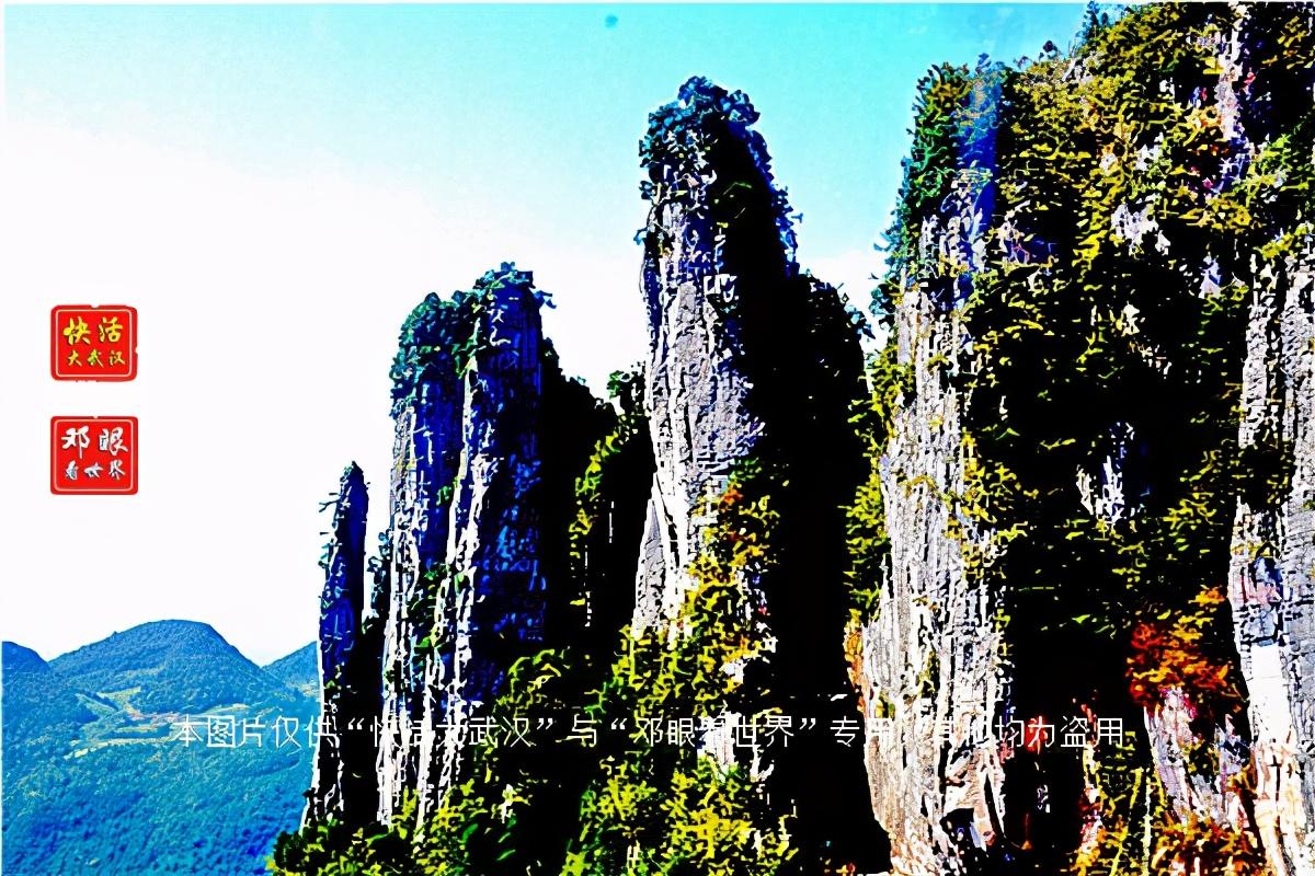 大峡谷富硒茶怎么样（大峡谷生态茶业有限公司）-硒宝网