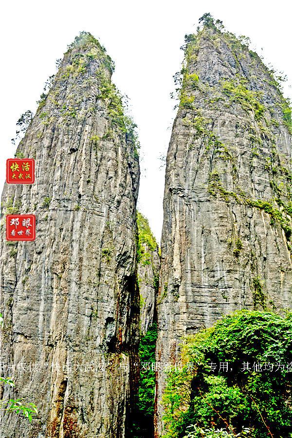 大峡谷富硒茶怎么样（大峡谷生态茶业有限公司）-硒宝网