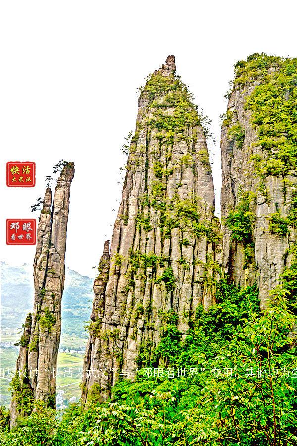 大峡谷富硒茶怎么样（大峡谷生态茶业有限公司）-硒宝网