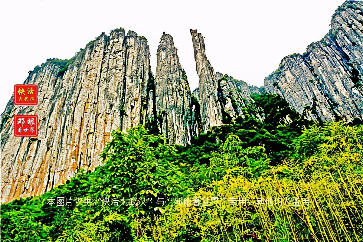 大峡谷富硒茶怎么样（大峡谷生态茶业有限公司）-硒宝网