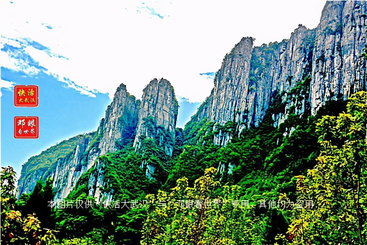 大峡谷富硒茶怎么样（大峡谷生态茶业有限公司）-硒宝网