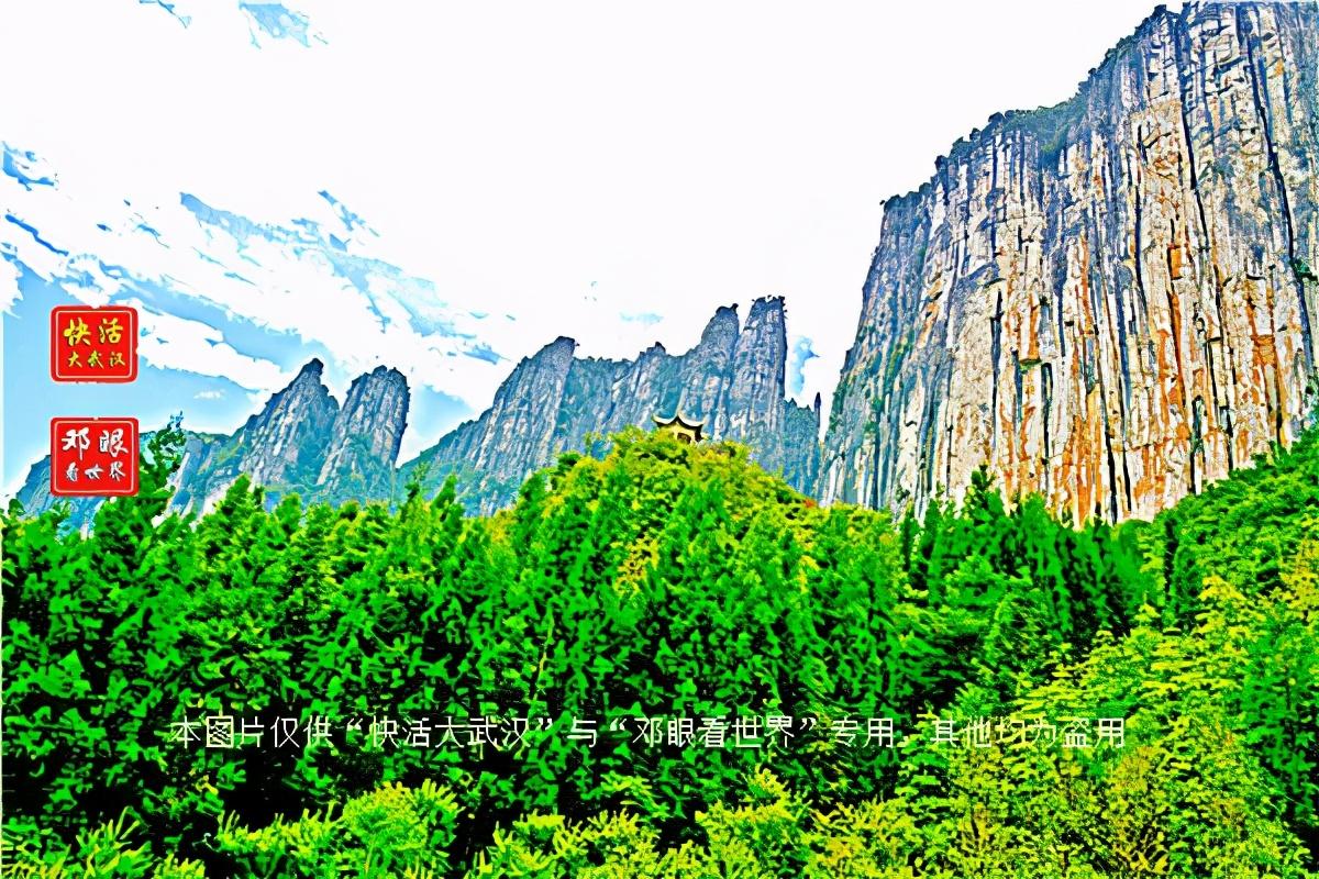 大峡谷富硒茶怎么样（大峡谷生态茶业有限公司）-硒宝网