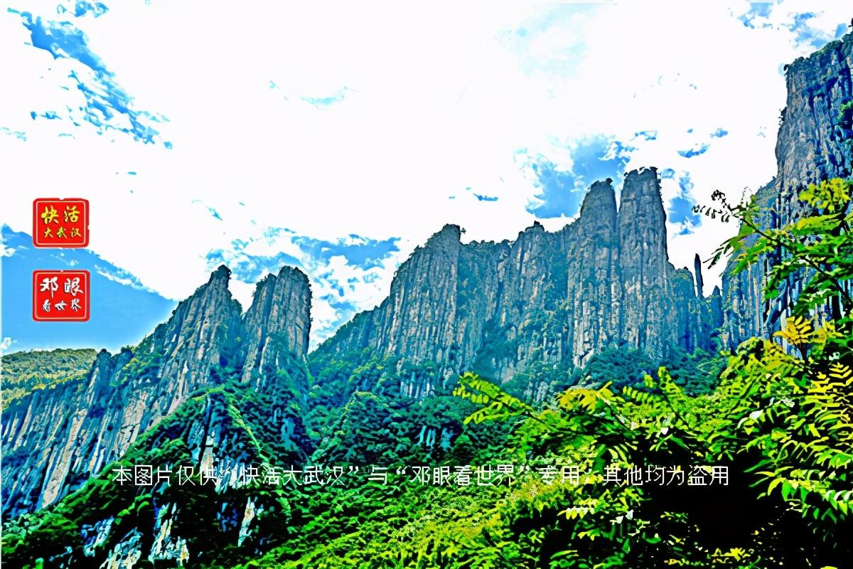 大峡谷富硒茶怎么样（大峡谷生态茶业有限公司）-硒宝网