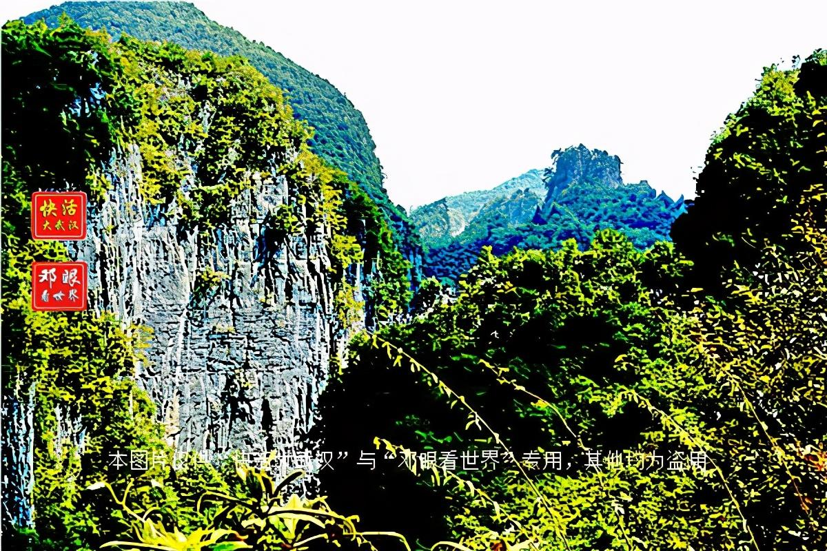 大峡谷富硒茶怎么样（大峡谷生态茶业有限公司）-硒宝网