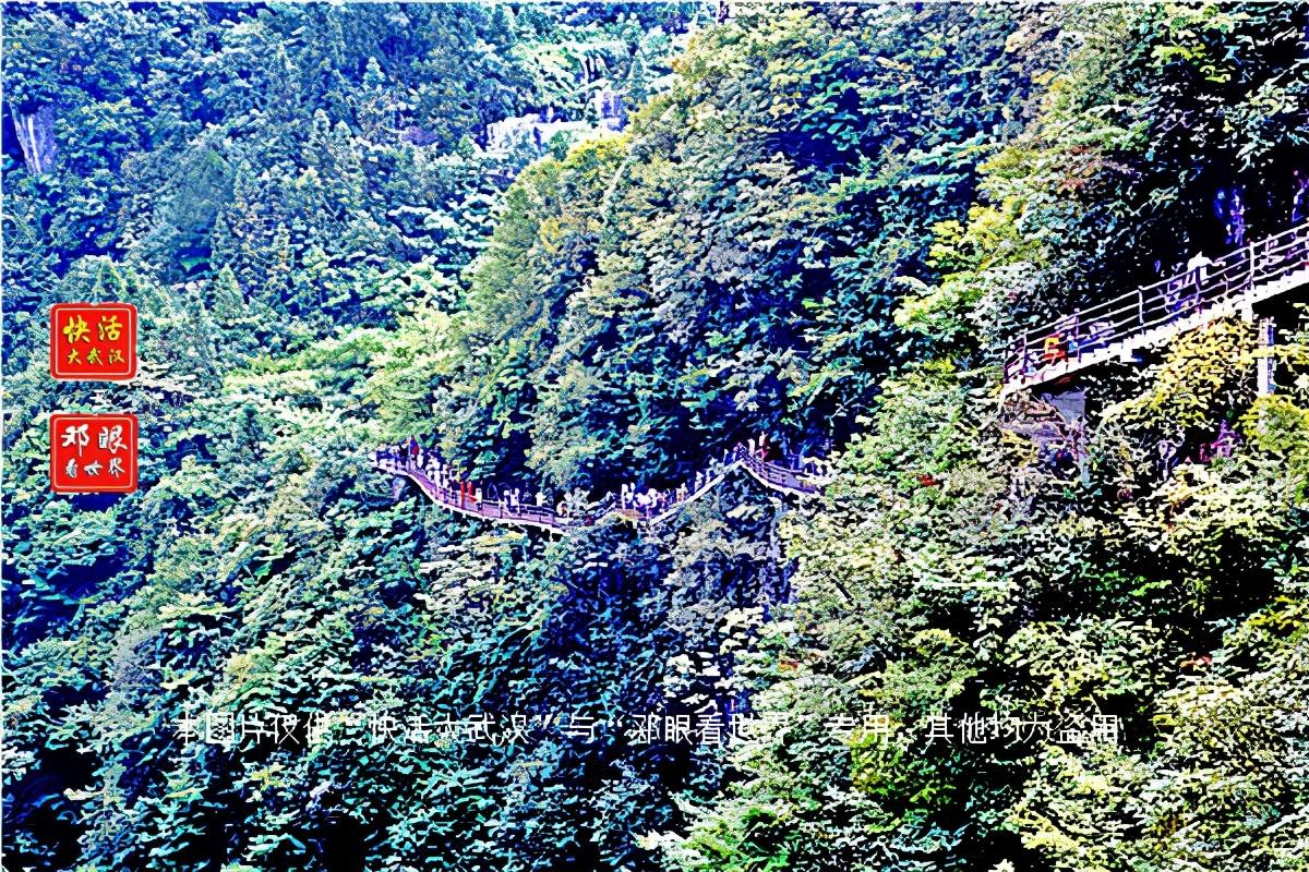 大峡谷富硒茶怎么样（大峡谷生态茶业有限公司）-硒宝网