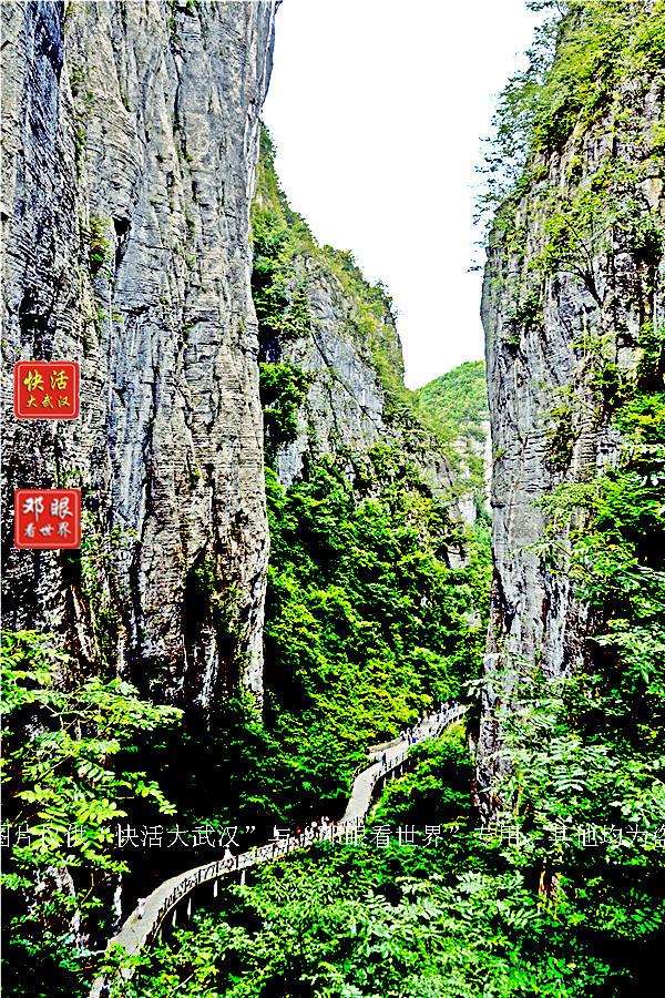 大峡谷富硒茶怎么样（大峡谷生态茶业有限公司）-硒宝网