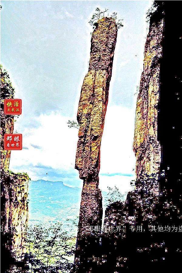 大峡谷富硒茶怎么样（大峡谷生态茶业有限公司）-硒宝网