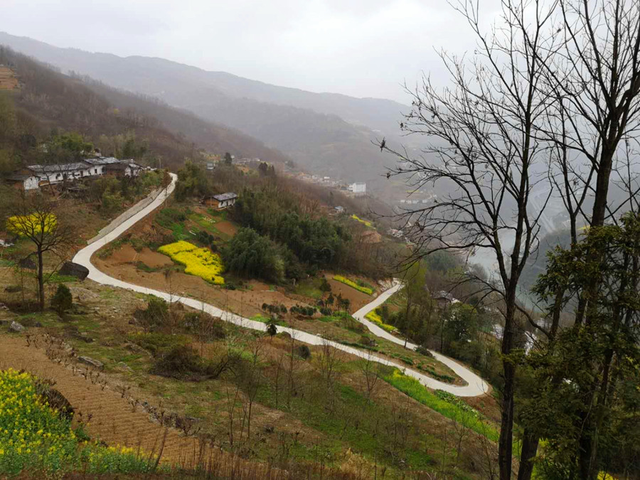 来品万源白羊富硒茶（四川万源市白羊茶?。?硒宝网