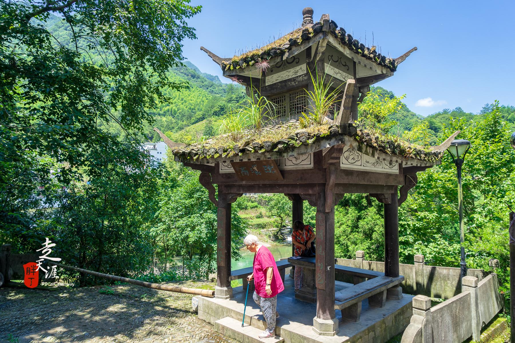 石台县仙寓山富硒茶（仙寓山硒茶价格）-硒宝网