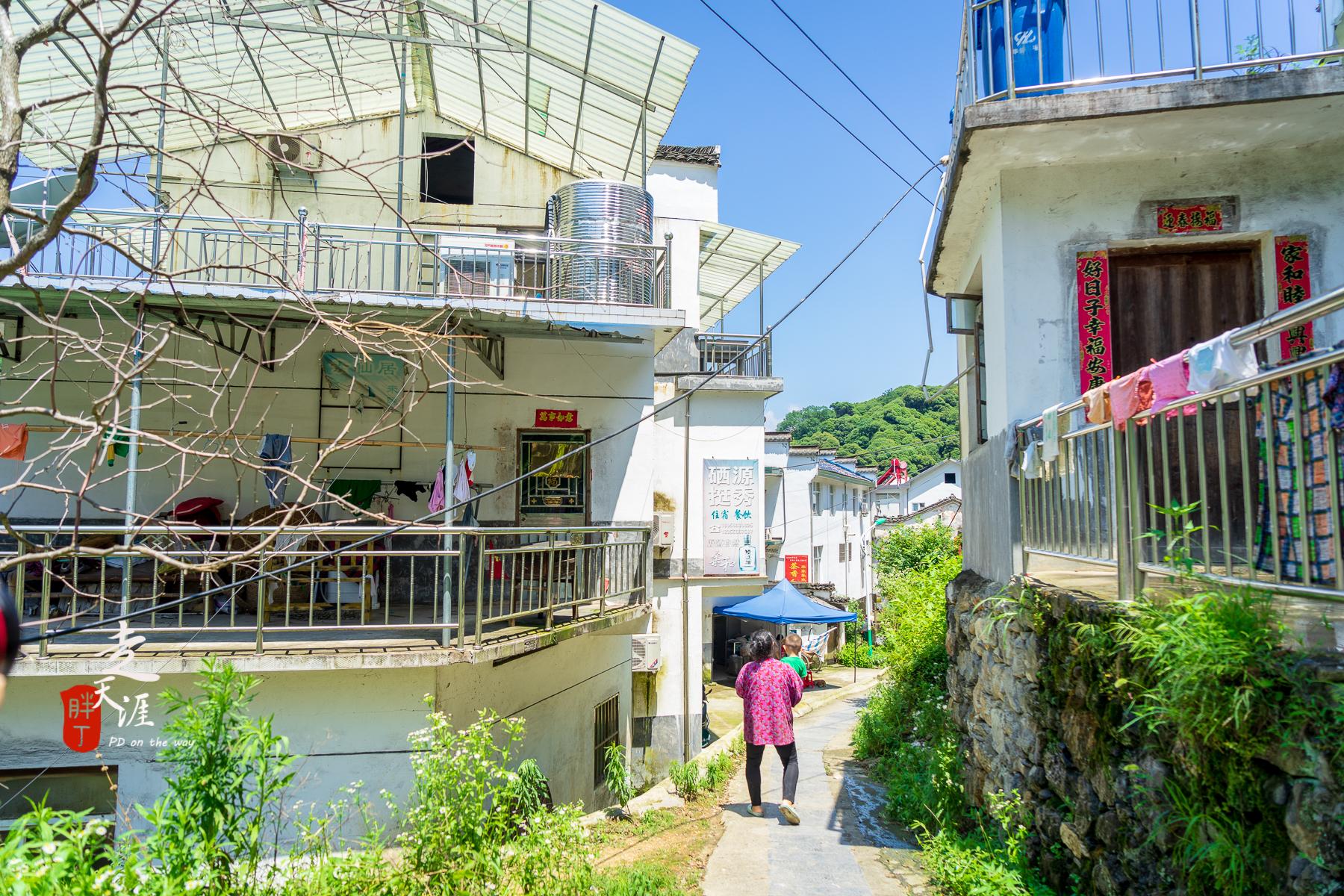 石台县仙寓山富硒茶（仙寓山硒茶价格）-硒宝网