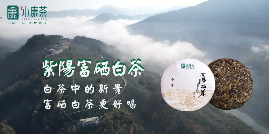 富硒茶能喝大枣一起(喝枣茶的坏处)-硒宝网