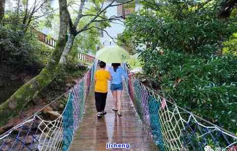 富硒藤茶泡多长时间（富硒藤茶放多长时间就不能喝）-硒宝网