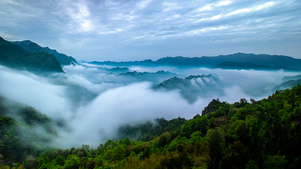仙寓山富硒野茶灰盒（珂田仙寓山富硒野茶）-硒宝网