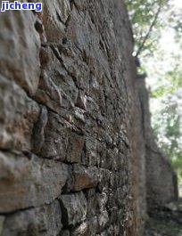 四川富硒普洱茶供应(富硒普洱茶好处)-硒宝网