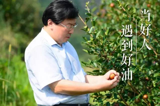 富硒茶籽出油率高吗(富硒油茶籽油有什么作用)-硒宝网