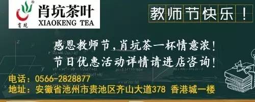 霄坑村富硒茶多少钱(安徽霄坑富硒野生茶)-硒宝网