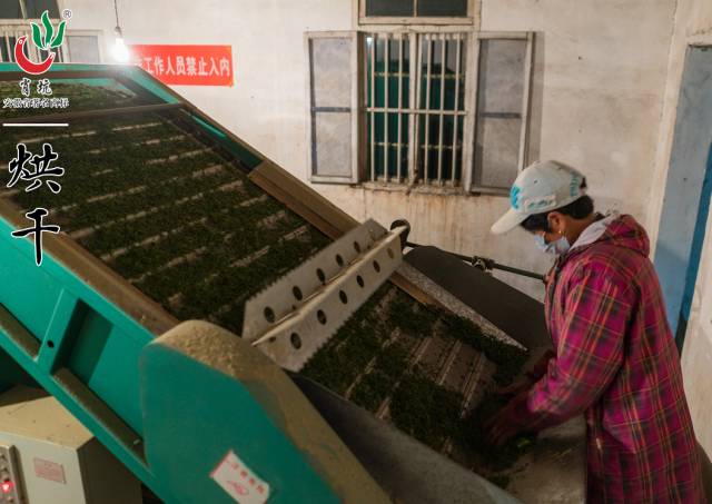 霄坑村富硒茶多少钱(安徽霄坑富硒野生茶)-硒宝网