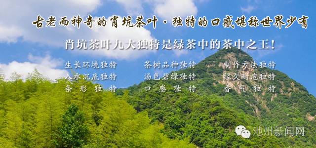 霄坑村富硒茶多少钱(安徽霄坑富硒野生茶)-硒宝网