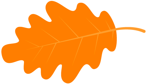 霄坑村富硒茶多少钱(安徽霄坑富硒野生茶)-硒宝网