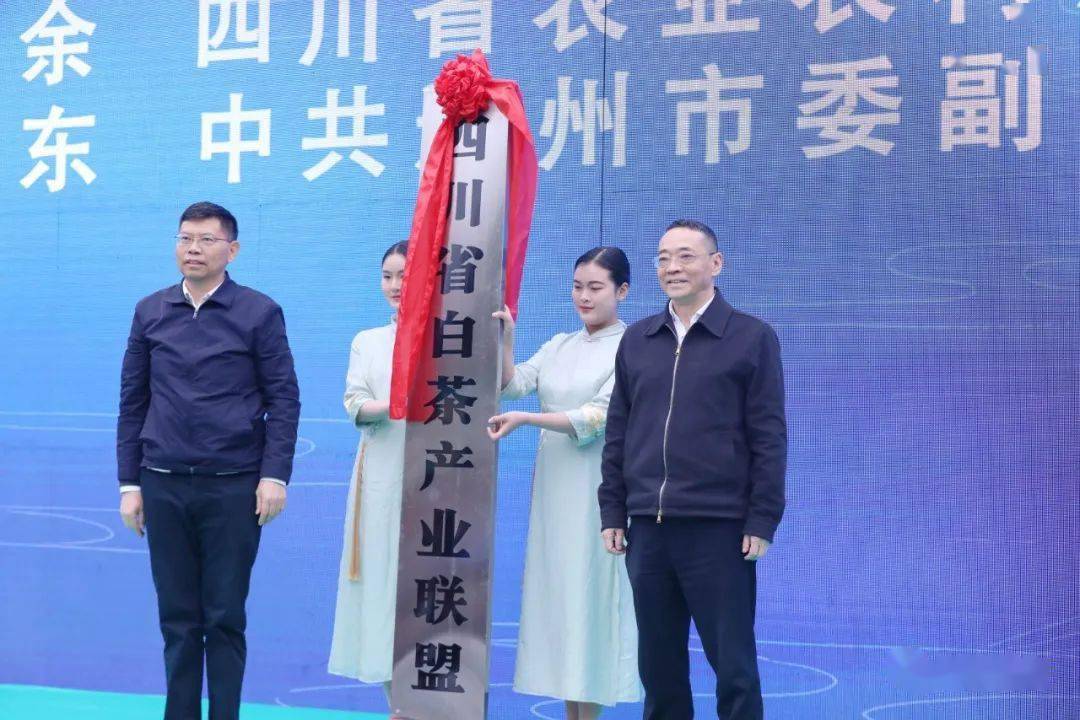 万源富硒茶产业基地(万源富硒茶叶)-硒宝网