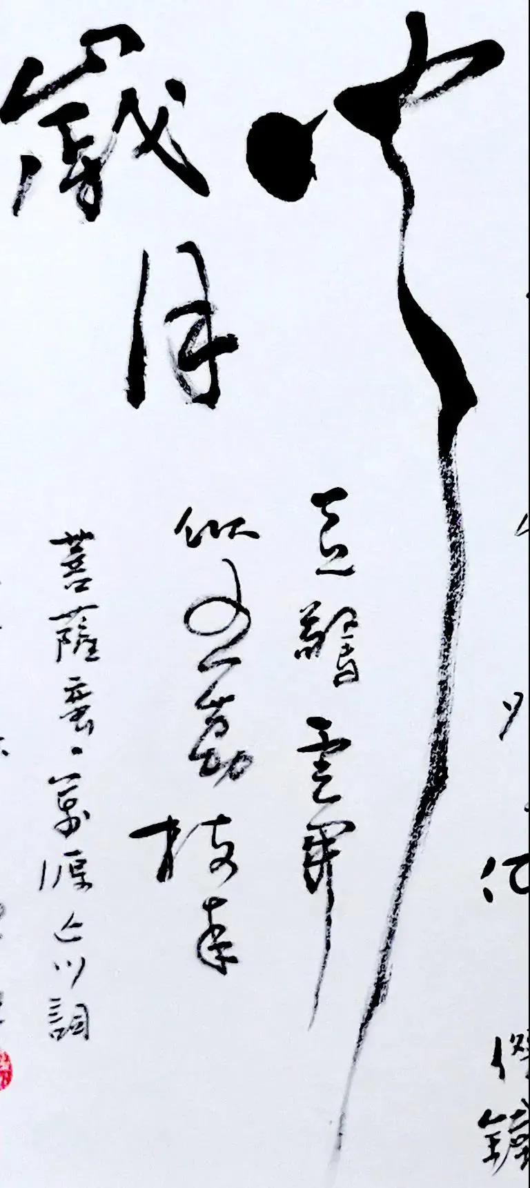 四川万源  富硒茶（万源富硒茶叶）-硒宝网