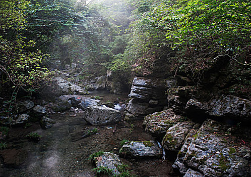 安徽省石台县富硒茶(安徽石台县富硒村旅游攻略)-硒宝网