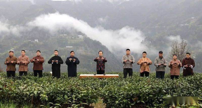 紫阳县向阳镇富硒茶（紫阳向阳茶山）-硒宝网