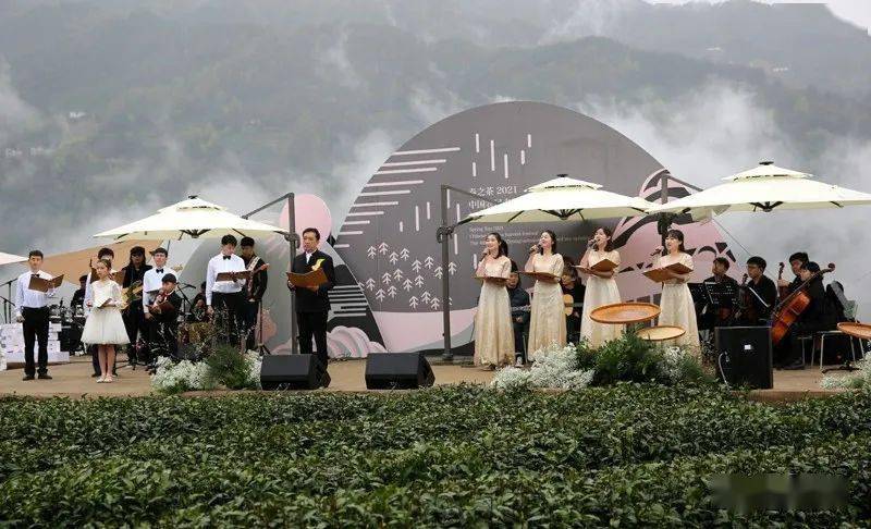 紫阳县向阳镇富硒茶（紫阳向阳茶山）-硒宝网