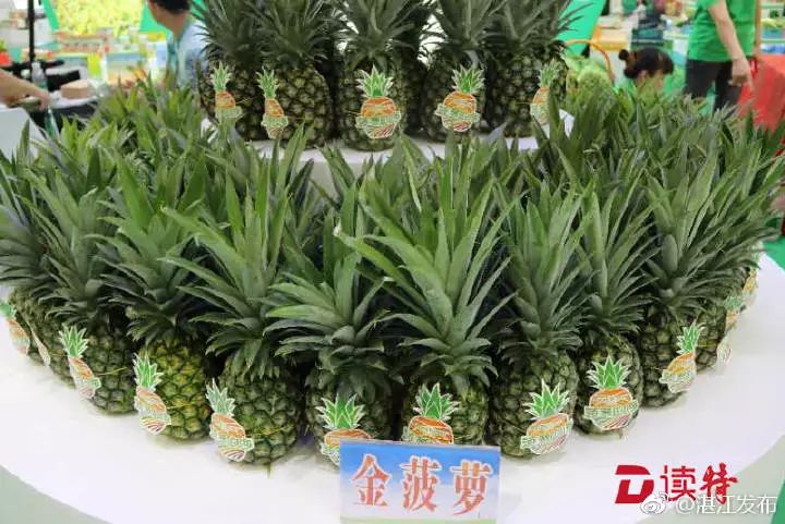 广东省富硒茶研究院（广东茶叶研究院）-硒宝网