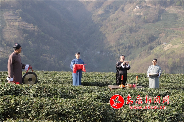 紫阳县向阳镇富硒茶（紫阳县向阳茶厂）-硒宝网
