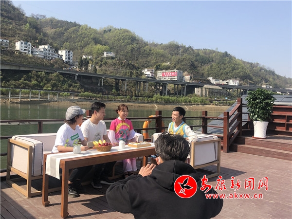 紫阳县向阳镇富硒茶（紫阳县向阳茶厂）-硒宝网