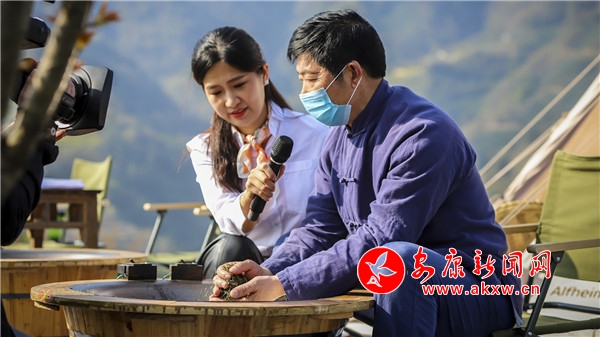 紫阳县向阳镇富硒茶（紫阳县向阳茶厂）-硒宝网