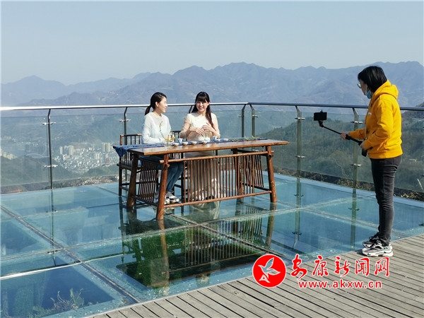 紫阳县向阳镇富硒茶（紫阳县向阳茶厂）-硒宝网