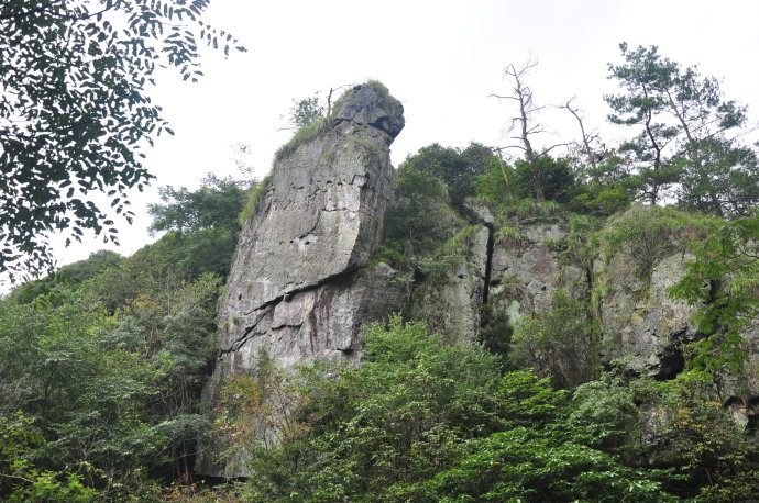 池州市石台县富硒茶（安徽省石台县富硒茶）-硒宝网