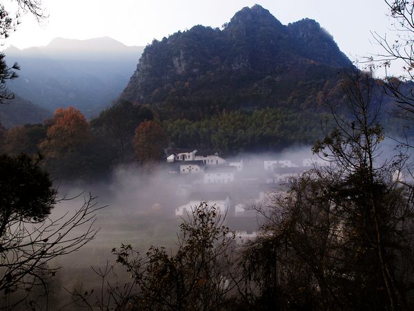 池州市石台县富硒茶（安徽省石台县富硒茶）-硒宝网